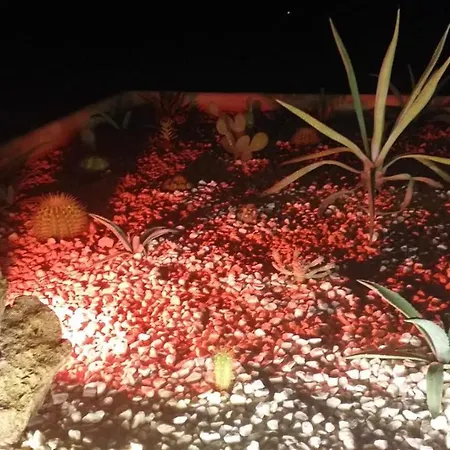 Buena Vista Club カントリーハウス ロンダ